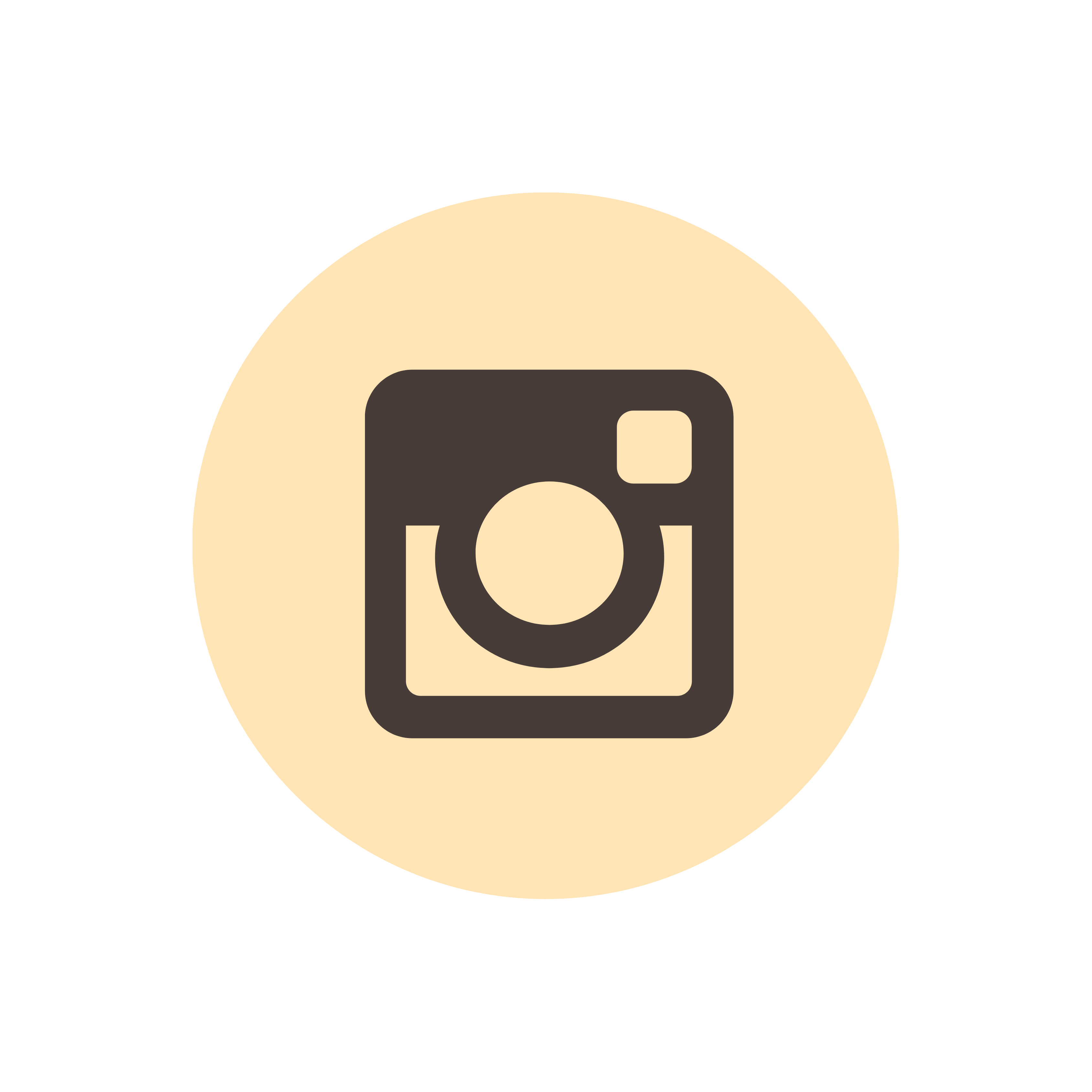 instagram icon